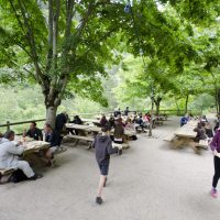 Repas en commun table extérieur, vue panoramique