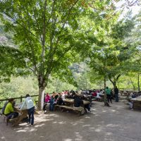 Une situation géographique idéale, au calme et sur 32 hectares au bord du Tarn